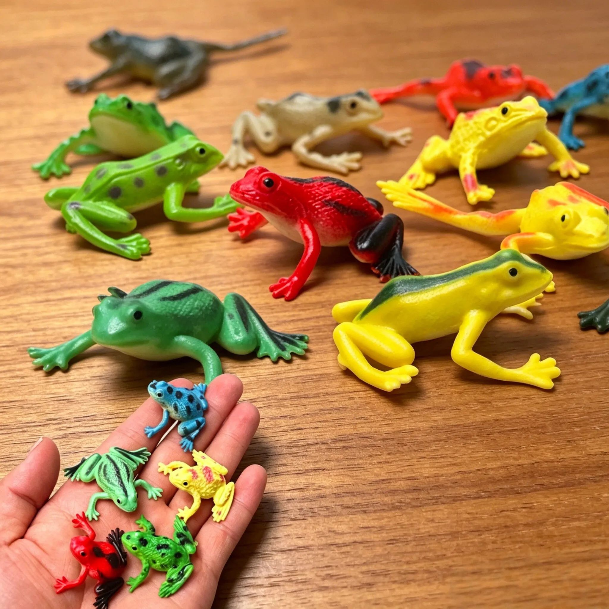 Hobby Is Science - 12Pcs 현실적인 개구리 동상 어린이 과학
