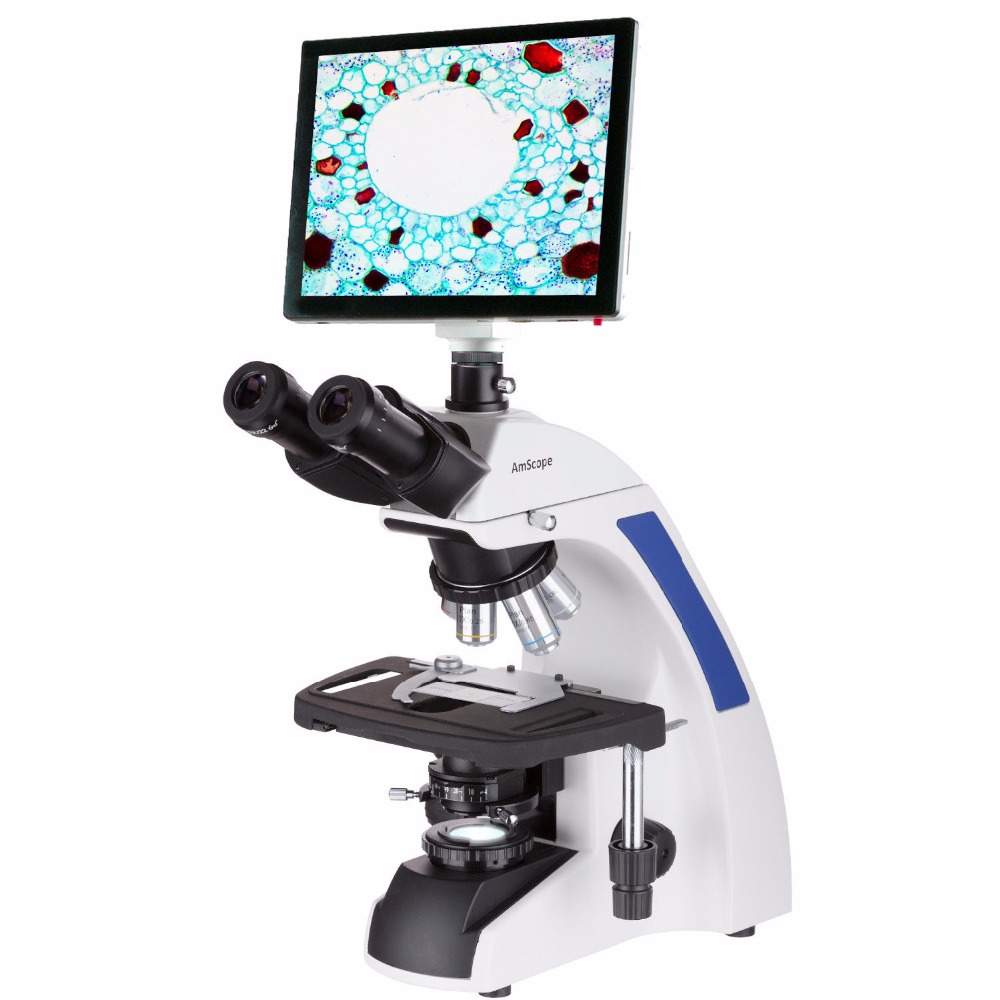 AmScope T720 시리즈 삼안 코일러 LED 복합 - Amscope Microscope Compound 40X-1000X 리뷰 및 가격