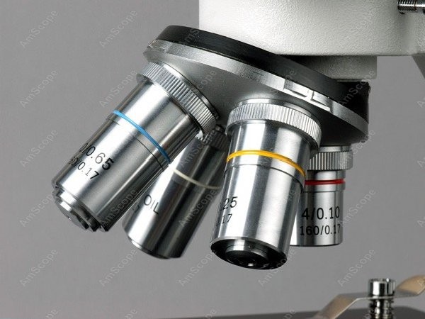 AmScope B100 시리즈 생물학적 쌍안 복합 현미 - Amscope Microscope Compound 40X-1000X 리뷰 및 가격