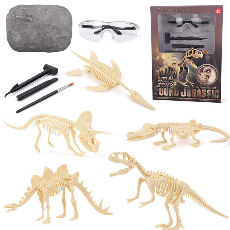 공룡 화석 발굴 키트 STEM 공룡 골격 모형 장난감  - Science Toys 리뷰 및 가격