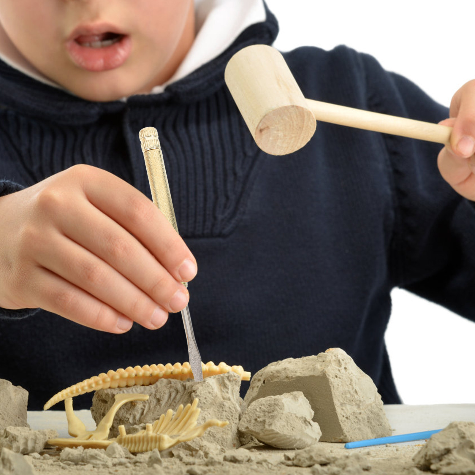 1 세트 어린이 발굴 도구 세트 튼튼한 ABS 금속 목 - Science Toys 리뷰 및 가격